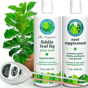 Fiddle Leaf Fig Essentials Bundle